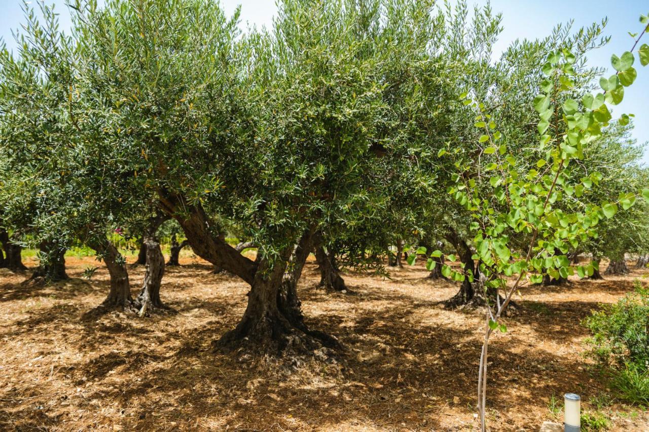 Casale La Macina Residence Scopello Scopello  Dış mekan fotoğraf
