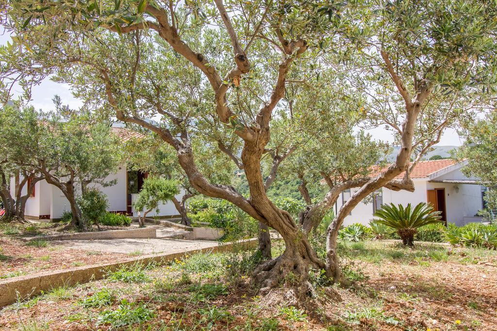 Casale La Macina Residence Scopello Scopello  Dış mekan fotoğraf